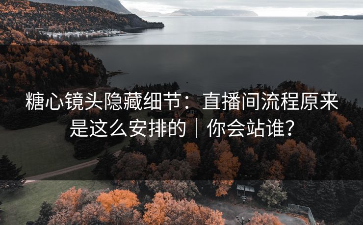 糖心镜头隐藏细节：直播间流程原来是这么安排的｜你会站谁？