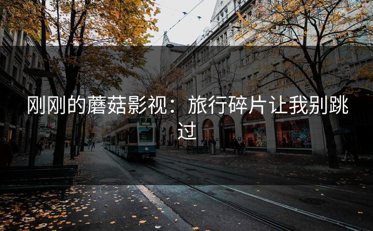 刚刚的蘑菇影视：旅行碎片让我别跳过