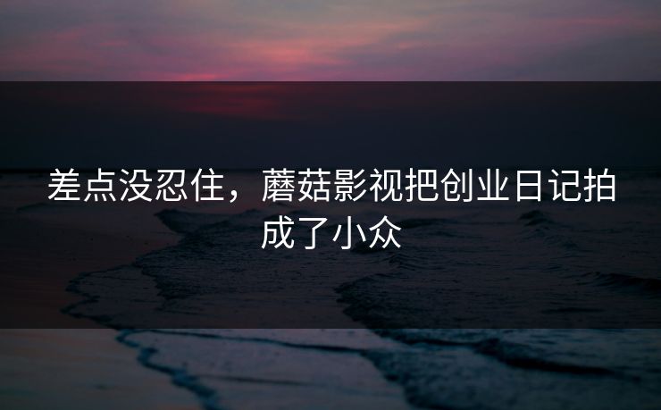差点没忍住，蘑菇影视把创业日记拍成了小众