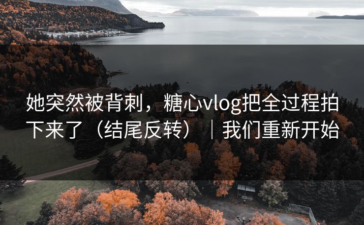 她突然被背刺，糖心vlog把全过程拍下来了（结尾反转）｜我们重新开始