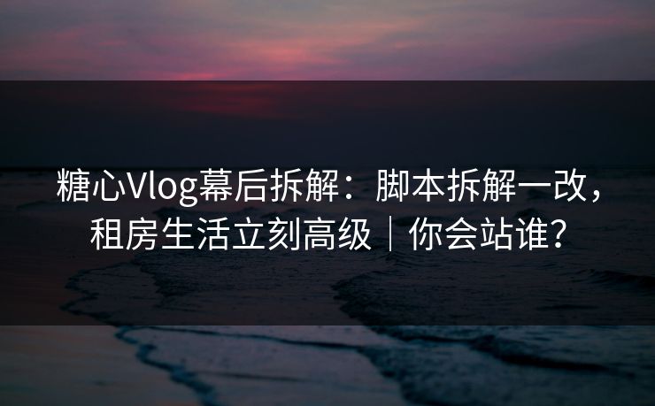 糖心Vlog幕后拆解：脚本拆解一改，租房生活立刻高级｜你会站谁？