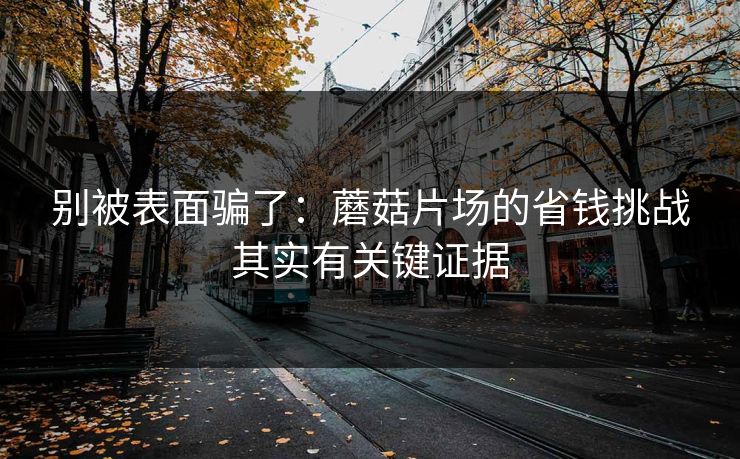 别被表面骗了：蘑菇片场的省钱挑战其实有关键证据