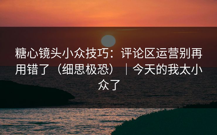 糖心镜头小众技巧：评论区运营别再用错了（细思极恐）｜今天的我太小众了