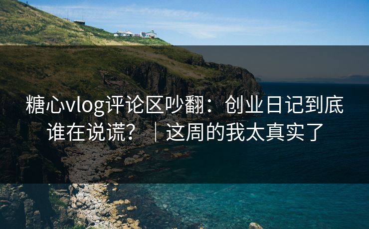 糖心vlog评论区吵翻：创业日记到底谁在说谎？｜这周的我太真实了